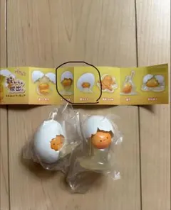 殻からの脱出。　2個セット2