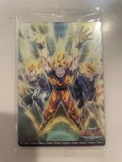 つばくろ様 リクエスト 2点 まとめ商品