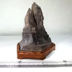 長者抹香石 小物連山 水石 鑑賞石 - メルカリ
