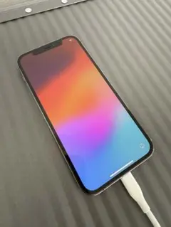 シャッター音無し iphone12 pro 512GB