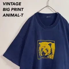 《シングルステッチ》ビンテージTシャツアニマルデザインクマベアーくまちゃん♡