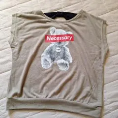 SHISKY　120㎝Tシャツのサムネイル