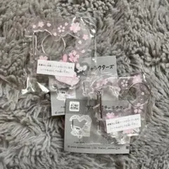 サンリオキャラクターズ　さくらマジックアクリルカラビナ　マイメロディ　クロミ