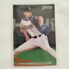 北海道日本ハムファイターズ 大谷翔平選手 レジェンドシリーズ2014 Lサイズ 北海道日本ハムファイターズ 大谷翔平選手 レジェンドシリーズ2014 L