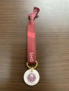 刀ステ 大演練 大包平 加藤将 リボンバンド