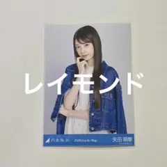 【福袋】 乃木坂46 矢田萌華　生写真 2026 シャツワンピース