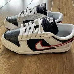 ナイキ ウィメンズ ダンク ロー PRM ヒューストンコメッツ フォーピート