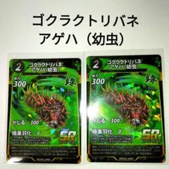 ゴクラクトリバネアゲハ