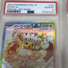 1997 ポケモンカード マンキー &オコリザル 2枚セット連番 - メルカリ