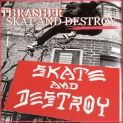ビンテージ THRASER スラッシャー ポスター■サンタクルーズdogtown ビンテージ THRASER スラッシャー ポスター□サンタクルーズdogtown