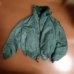 Item thumbnail for item fd33e666-0368-41d8-a071-cfb7328fcd9d