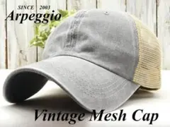 Item thumbnail for item c6995a7d-5a28-480c-8685-74d7e19483e7