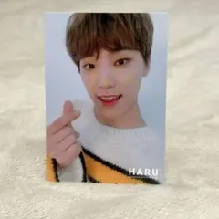 SEVENTEEN【ディノ】HARU トレカ