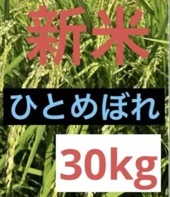 ひとめぼれ　30kg 玄米　宮城米　美味しい