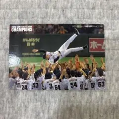 2013 CENTRAL LEAGUE CHAMPIONS カード
