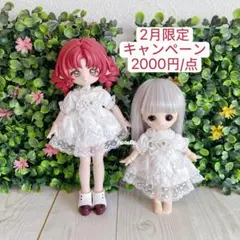 2026年最新】オビツ11 ワンピースの人気アイテム - メルカリ