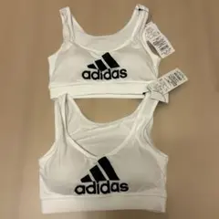 Item thumbnail for item c3191a2d-84ee-4a2c-9132-08f2f751d14a