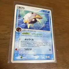 キモリ ○ 強化拡張パックex1 マグマVSアクア ふたつの野望 004/080