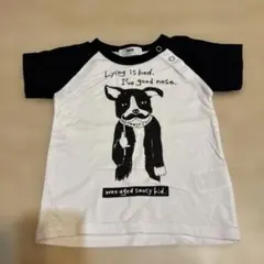 WASK 半袖Tシャツ Mサイズのサムネイル