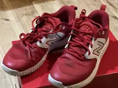 Item thumbnail for item 09af999e-082b-4fe5-b7dd-c6e71e37533a