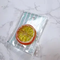 Item thumbnail for item 54a603c5-c4cb-450f-9ce4-abd34aee68da