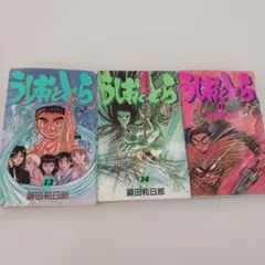 初版】うしおととら 22・23・24巻 藤田和日郎 少年サンデーコミックス
