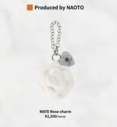 三代目 JSB LAND NAOTO プロデュースグッズ