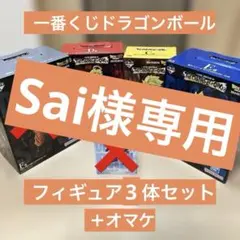 Sai様専用商品