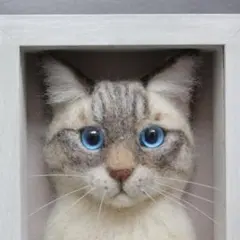羊毛フェルト 猫 シャムトラ フレーム ハンドメイド L判 額入り
