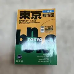 Item thumbnail for item 057bdd16-17ae-4984-a84a-47c29b4bc6a0