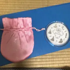 ディズニープリンセス ミラー 専用ポーチ付き