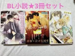 ハル☆A様 リクエスト 2点 まとめ商品