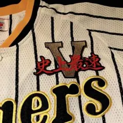 刺繍アイロンワッペン 阪神タイガース 優勝記念 虎 90th 応援