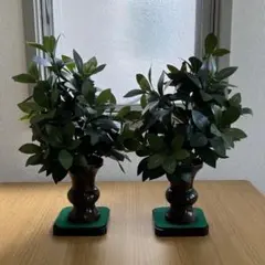 Item thumbnail for item f21c8637-5b5d-4f4d-bbfe-a98f7a542afd