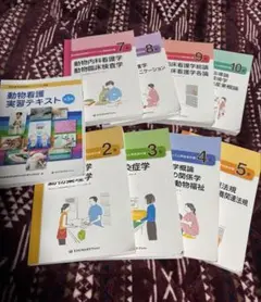 薬ゼミ ぎゅっとアウトプット本 110回国家試験対策 薬学ゼミナール 薬ゼミ ぎゅっとアウトプット本 110回国家試験対策 薬学ゼミナール