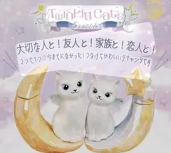 トゥインクル キャッツ デキャンタ スター＆ムーン 箱付き 未開封 陶器