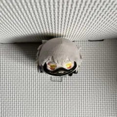 maple様 リクエスト 2点 まとめ商品