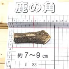 2026年最新】鹿の角の人気アイテム - メルカリ