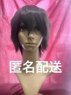 あさひな様専用 ウィッグ オーダー 確認ページ ツイステ エペル