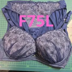 tutuannaチュチュアンナtutuカワブラF75L新品タグ付き