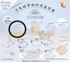 うちの子 けだまだま ペテモ 限定アソート 正規品 犬 ポメラニアン