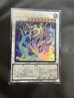 遊戯王　電脳堺狐－仙々　ウルトラ