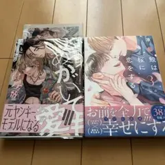 恋する暴君【希少レア☆非売品ペーパー2枚セット】森永哲博、巽宗一