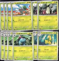 ポケモンカード フシギダネ　フシギソウ　チコリータ　ベイリーフ　12枚のサムネイル