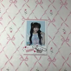 【匿名発送】齋藤樹愛羅　シナモン　ミニフォト