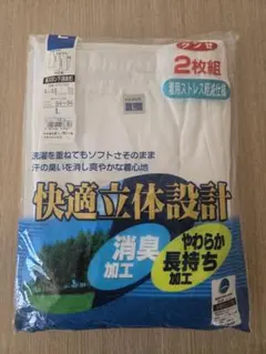 ダンゼ 　GUNZE　長ズボン下(前あき)　Ｌ　2枚組