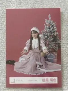 【直線番長】櫻坂46 直筆 生写真 目黒陽色 クリスマス サンタ 座り 櫻坂46 目黒陽色 2025 サンタ - メルカリ