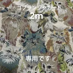 【エルニャンママ様専用です】毛足の長い猫ちゃん 約150cm×200cm
