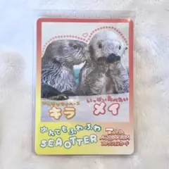 鳥羽水族館 コレクションカード ラッコ キラ メイ - メルカリ