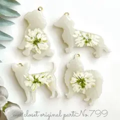 799.ベージュ犬型押し花チャームパーツ(6個)カン付/ピアス/わんちゃん